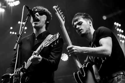 the wombats